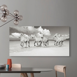 Wall Art Print and Canvas. Horses running on the beach (BW)