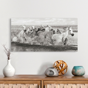 Wall Art Print and Canvas. Herd of Horses, Camargue