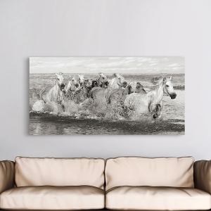 Wall Art Print and Canvas. Herd of Horses, Camargue