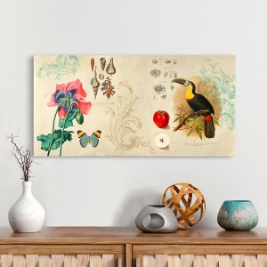 Vintage Wall Art Print and Canvas. Cabinet of Curiosities II