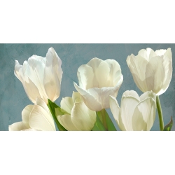 Quadro floreale con tulipani, stampa su tela. White Tulips on Blue