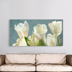 Wall Art Print and Canvas. White Tulips on Blue