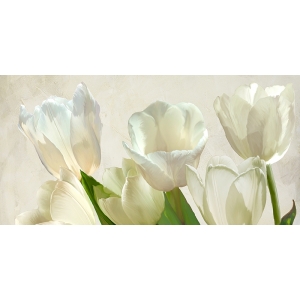 Cuadro con flores en canvas. Villa Luca, Tulipanes blancos (detalle)