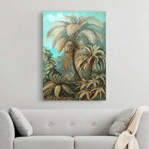 Wall Art Print and Canvas. Ernst Haeckel, Filicinae Palms