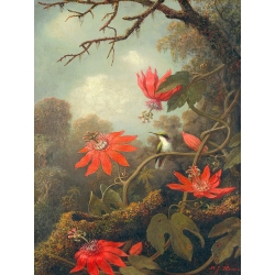 Tableau sur toile. Martin Johnson Heade, Colibris et fleurs