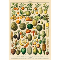 Bilder auf Leinwand. Adolphe Millot, Früchte und Gemüse