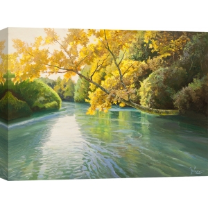 Wall Art Print and Canvas. A River in the Wood