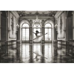 Schwarz-weiß Bilder auf Leinwand. Ballerina in klassischem Interieur