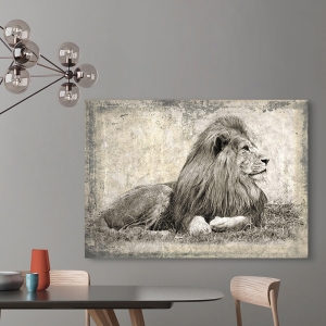 Tableau moderne avec animaux. Memories of Africa, Lion
