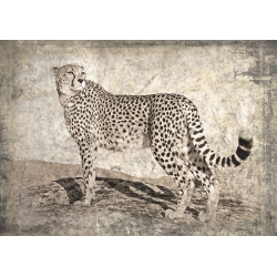Tableau moderne avec animaux. Memories of Africa, Tigre