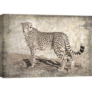 Tableau moderne avec animaux. Memories of Africa, Tigre
