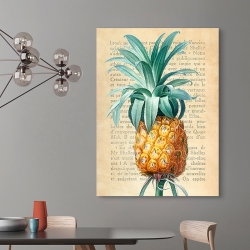 Kitchen Wall Art Print and Canvas. Pineapple (After Redouté)