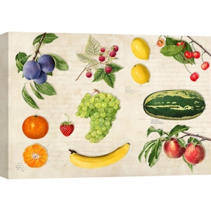 Quadri frutta e verdura moderni. Remy Dellal, Fruits of the World