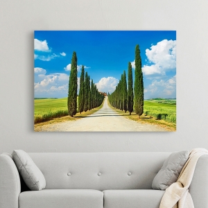 Wall Art Print and Canvas. Cypress alley, Tuscany Panorama