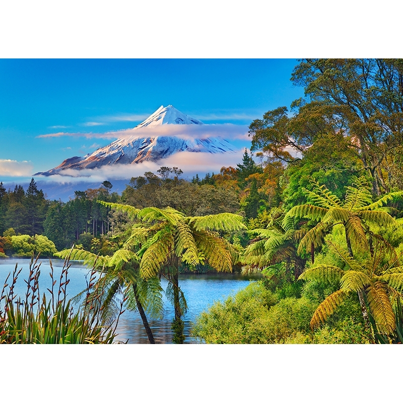 taza perspectiva Generoso Cuadro de naturaleza en canvas. Nueva Zelanda