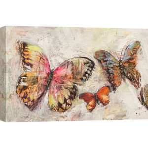 Cuadro en canvas. Florio Luigi, Mariposas en vuelo II