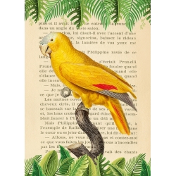 Bilder auf Leinwand. Papagei – The Blue-Fronted Parrot