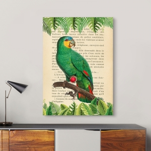 Tableau sur toile. Peinture Oiseaux Moderne, Perroquet Amazonie