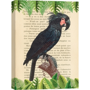 Cuadro en canvas. The Palm Cockatoo, después de Levaillant