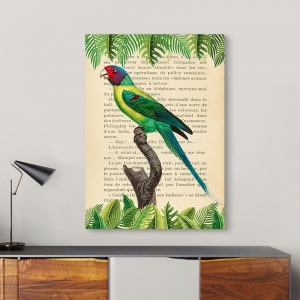 Vintage Wall Art Print and Canvas with Birds. Plum-Headed Parrot