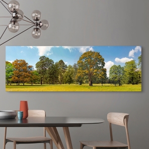 Wall Art Print and Canvas. Trees in a Park