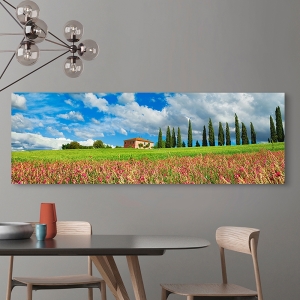 Wall Art Print and Canvas. Landscape with cypress alley, Tuscany
