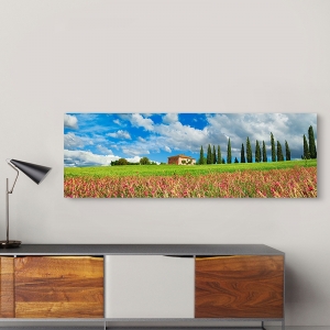 Leinwandbilder natur. Landschaft mit Zypressengasse, Toskana