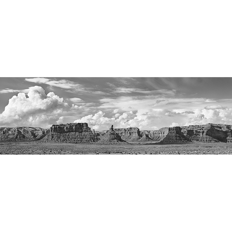 Quadro, stampa su tela. Valley Of The Gods, Utah, USA (BW)