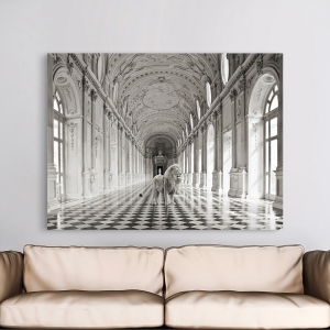 Wall Art Print and Canvas. Lion in a classical interior