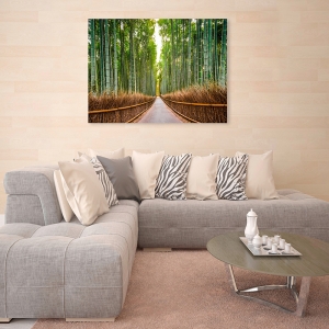 Quadro, stampa su tela. Pangea Images, Foresta di bamboo, Kyoto, Giappone