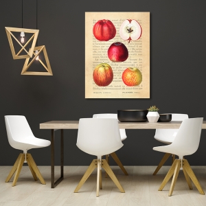 Kitchen Wall Art Print and Canvas. Apples (After Redouté)