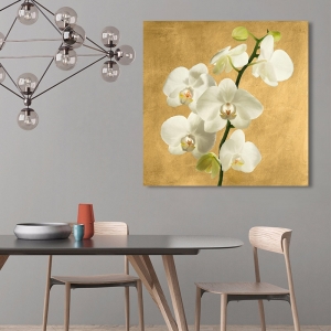 Flowers on canvas. Orchids on a Golden Background II