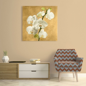 Flowers on canvas. Orchids on a Golden Background II