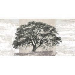 Leinwandbildermit Baum-Motiven und Poster. Ash Tree Panel