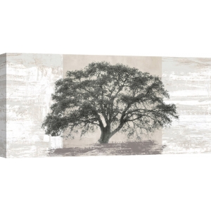 Tableau arbre moderne. Ash Tree Panel