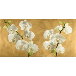 Flower wall art print, canvas. Orchids on a Golden Background