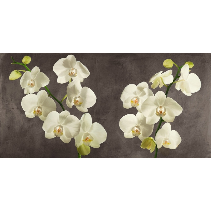 Quadro su tela fiori. Orchidee su fondo grigio