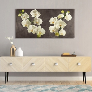 Flower wall art print, canvas. Orchids on a Grey Background