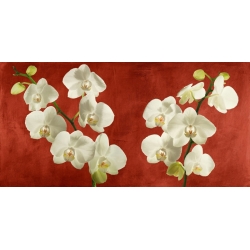 Flower wall art print, canvas. Orchids on a Red Background