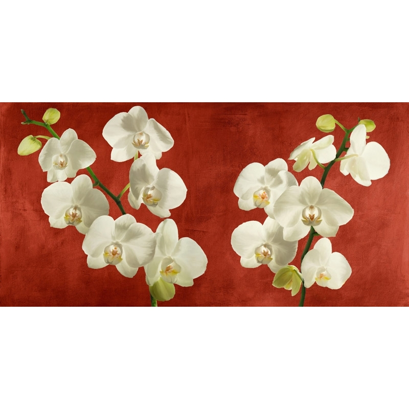 Tableau fleurs modernes. Antinori, Orchidées sur fond rouge