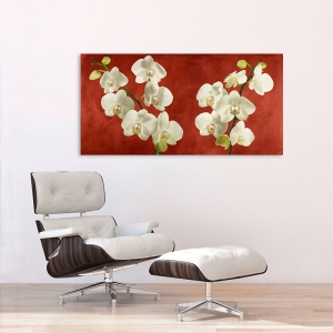 Cuadros en lienzo. Andrea Antinori, Orquídeas en fondo rojo