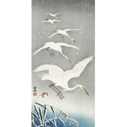 Tableau japonais. Ohara Koson, Hérons descendant dans la neige