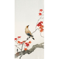 Wall art print, canvas, poster. Japanese jay bird on maple