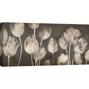 Wall art print, canvas, poster. Luca Villa, Washed Tulips