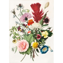 Botanical art print, canvas, poster. Bouquet of Flowers
