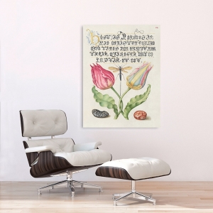 Botanical art print, canvas. From the Model Book of Calligraphy, I