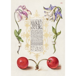 Tableau, affiche botanique. From the Model Book of Calligraphy, III