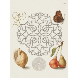 Botanische Poster und Leinwandbilder. Book of Calligraphy, IV