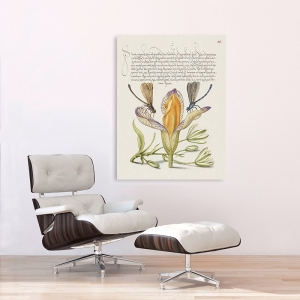 Botanical art print, canvas. From the Model Book of Calligraphy, VI