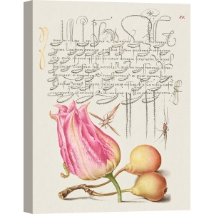 Botanische Poster und Leinwandbilder. Book of Calligraphy, VII